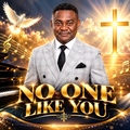 NO ONE LIKE YOU